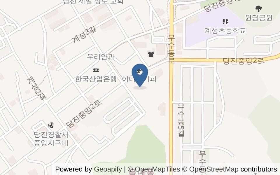 스윔 스타즈 사진