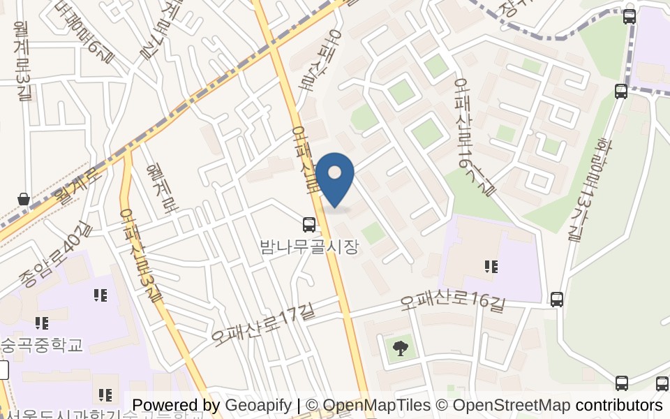 에스엔피 키즈풀 사진