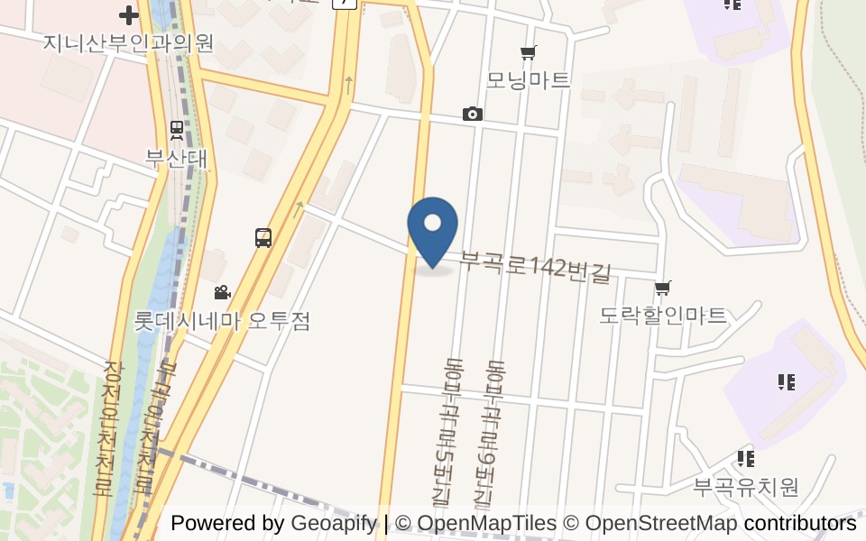 스타키즈 수영장 사진