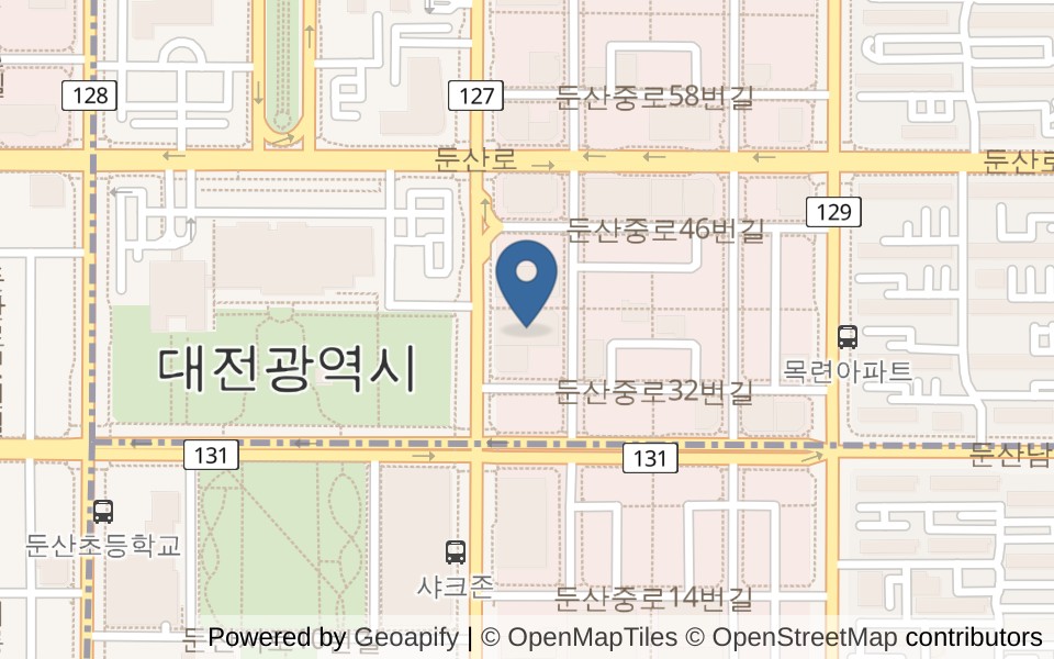 로키 스위밍 클럽 사진